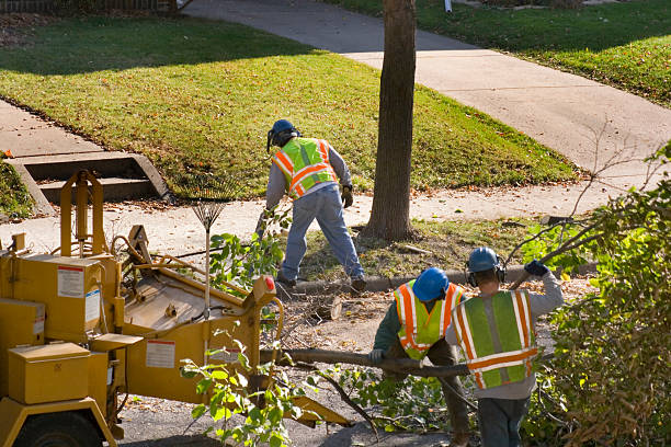 Leaf Removal in Greenfields, PA